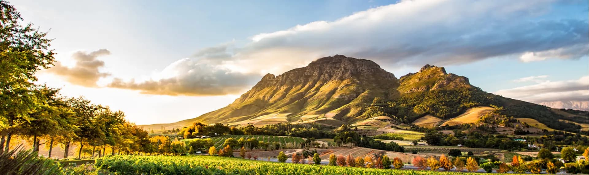 Vinresa till Cape Wine & Sydafrika